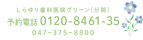 しらゆり歯科医院グリーン（分院）：0120-8461-35 047-375-8800